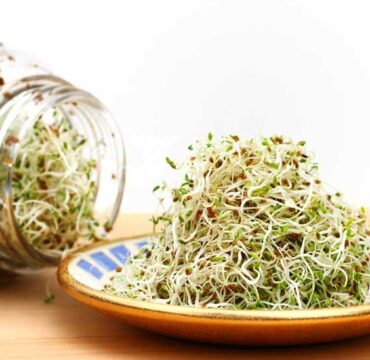 AN619-Alfalfa-Sprouts-732x549-thumb-1-732x549